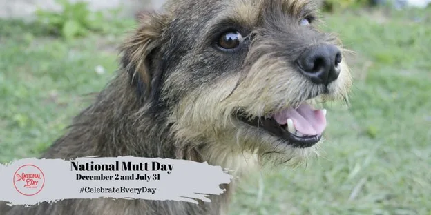 Today is National Mutt Day!